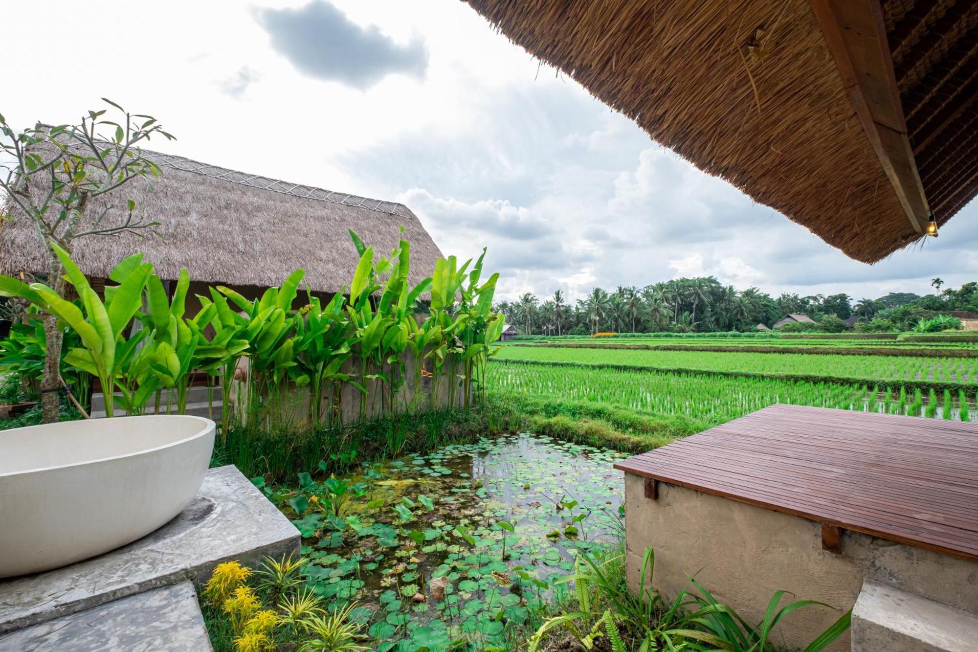 Mawas * Ubud (Bali)
