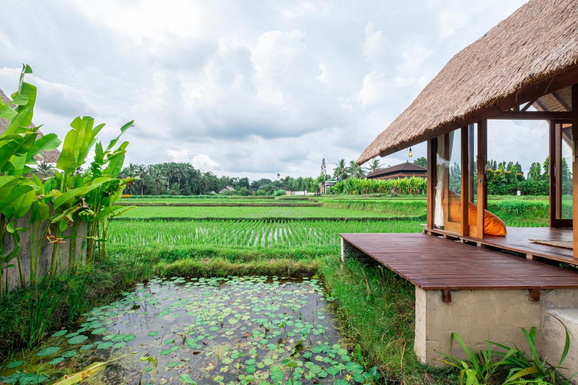 Mawas Rumah liburan *