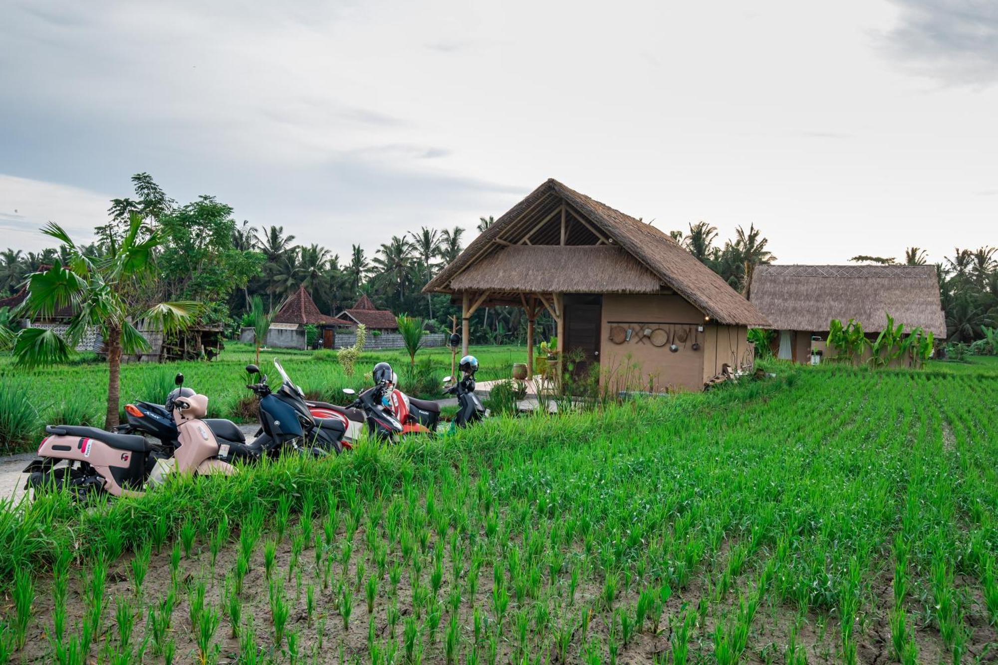 Rumah liburan Mawas