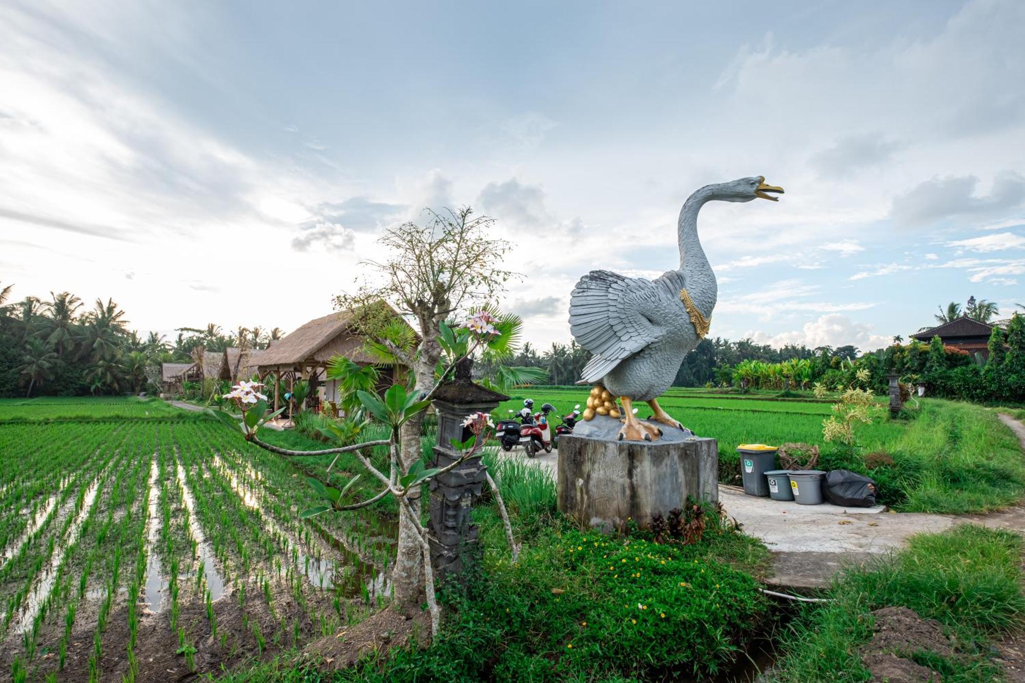 Ferienhaus Mawas Ubud